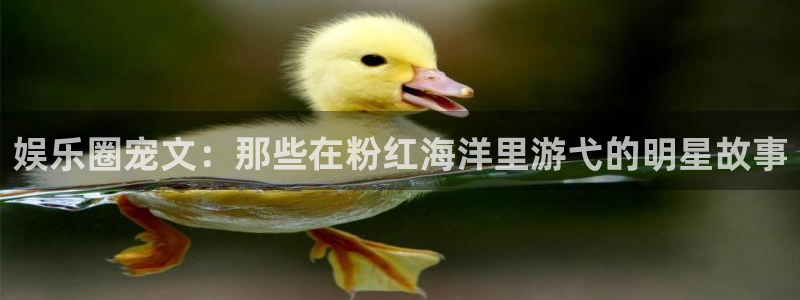 upload/20250701114914.jpg