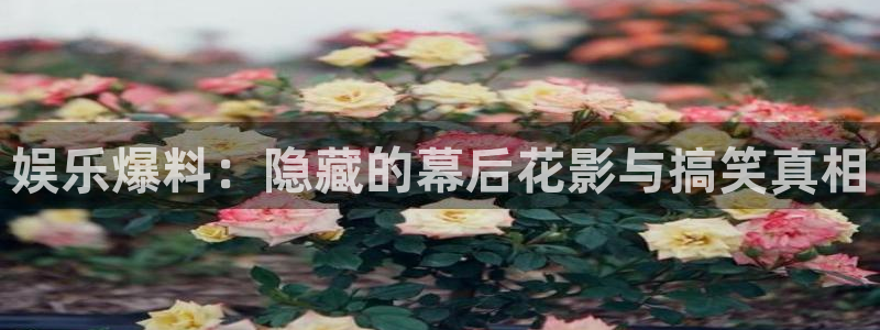 upload/20250701114914.jpg