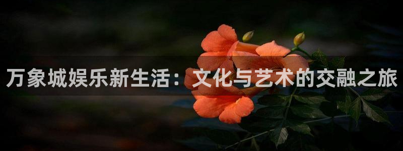 upload/20250701114914.jpg